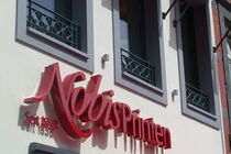 Absturzsicherungen/Fenstergitter